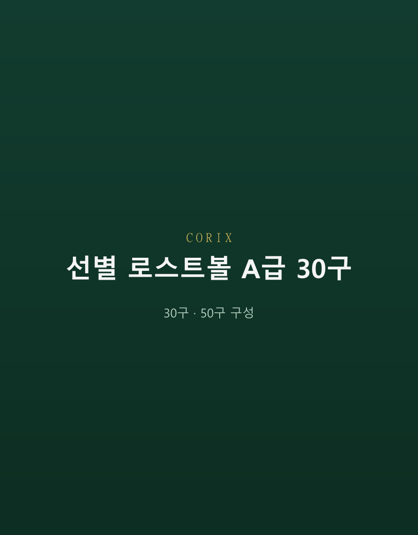 CORIX 선별 로스트볼 A급 30구 상세 이미지 2