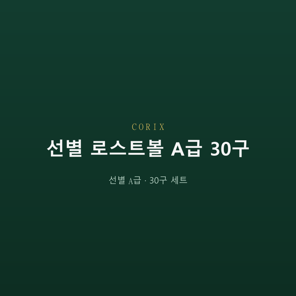 CORIX 선별 로스트볼 A급 30구